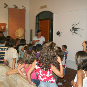incontrarti 2009, premio vasto, museo archeologico, vasto, artibus, daniela madonna, laboratori, bambini, arte, visite guidate