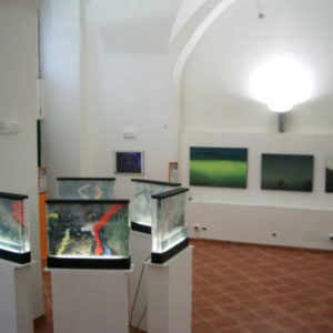 incontrarti, premio vasto, daniela madonna, artibus, giovane arte
