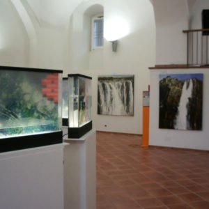 incontrarti, premio vasto, daniela madonna, artibus, giovane arte