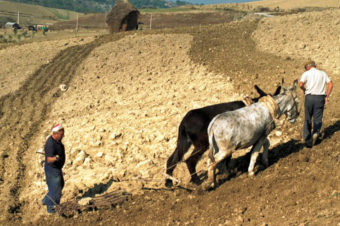 Antichi mestieri in Abruzzo e Molise