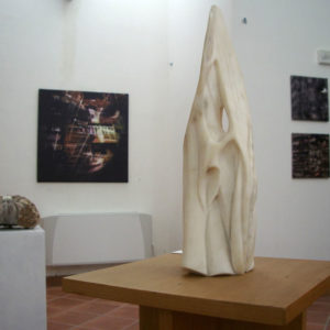 incontrarti, premio vasto, arte, daniela madonna